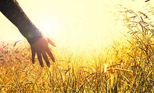 入职CRC后的小姐姐谈感受 入职CRC后的小姐姐谈感受