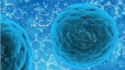 二类医疗器械经营备案.jpg 二类医疗器械经营备案.jpg