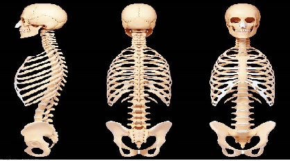 医疗器械注册.jpg 医疗器械注册.jpg