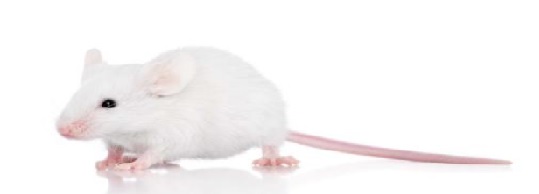 医疗器械注册.jpg 医疗器械注册.jpg