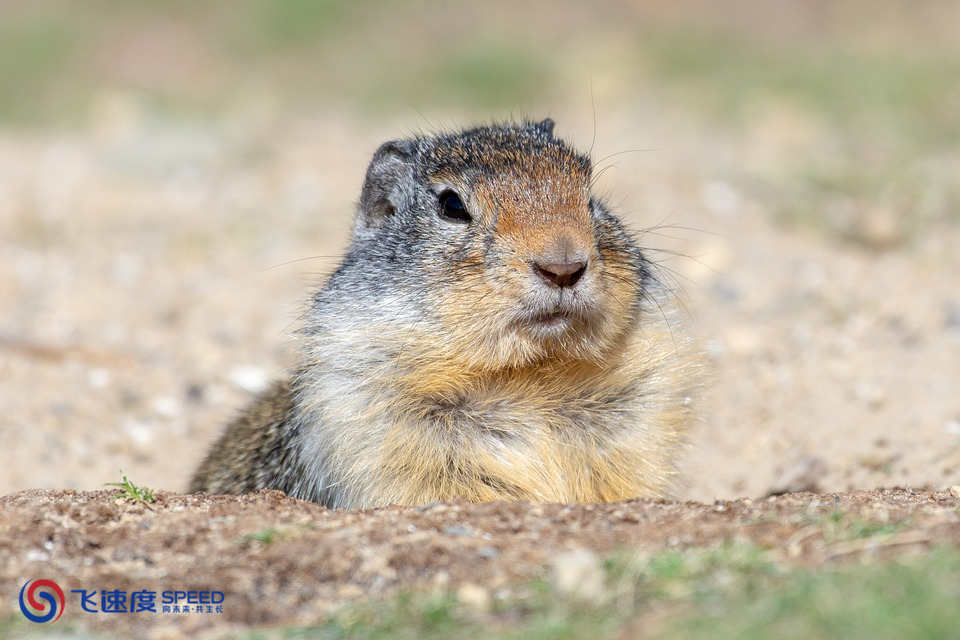 医疗器械产品注册 医疗器械注册