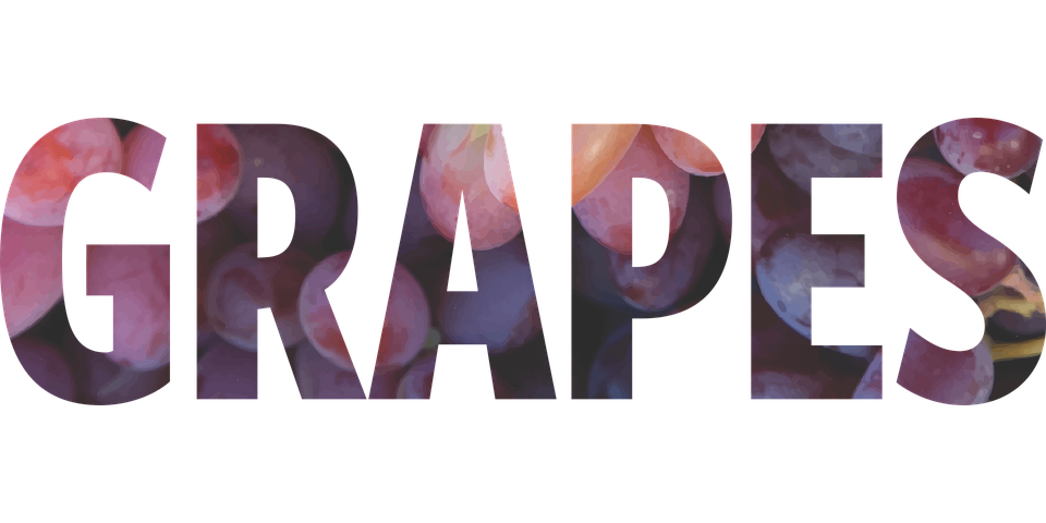 <a href=/medical/ target=_blank class=infotextkey>医疗器械注册</a>