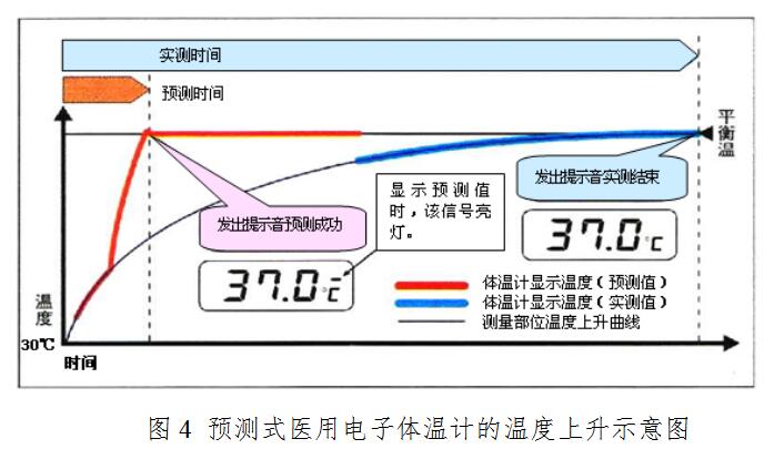 预测式医用电子体温计的温度上升示意图