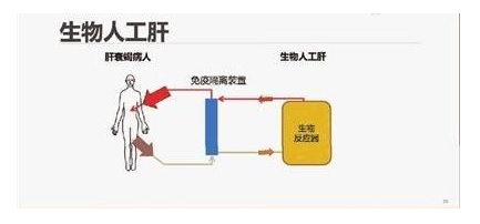 <a href=/medical/ target=_blank class=infotextkey>医疗器械注册</a>.jpg