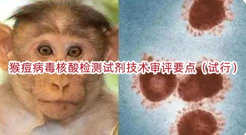 猴痘病毒核酸检测试剂技术审评要点（试行）
