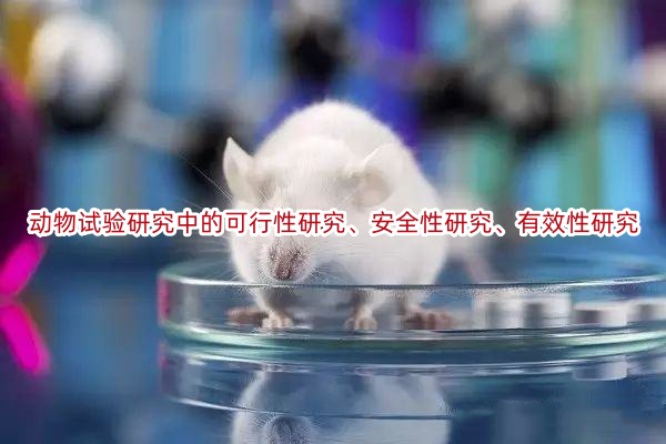 动物试验研究中的可行性研究、安全性研究、有效性研究(2/2)