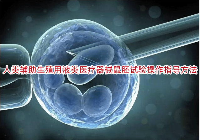 人类辅助生殖用液类医疗器械鼠胚试验操作指导方法