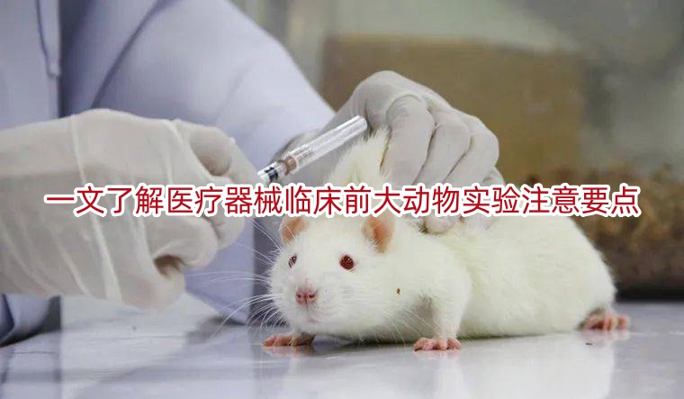 一文了解医疗器械临床前大动物实验注意要点