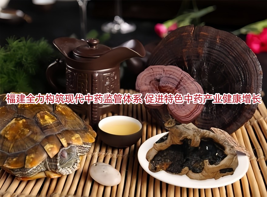 福建全力构筑现代中药监管体系 促进特色中药产业健康增长
