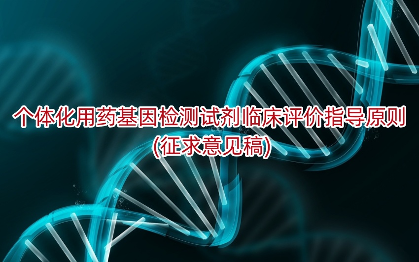个体化用药基因检测试剂临床评价指导原则 (征求意见稿)