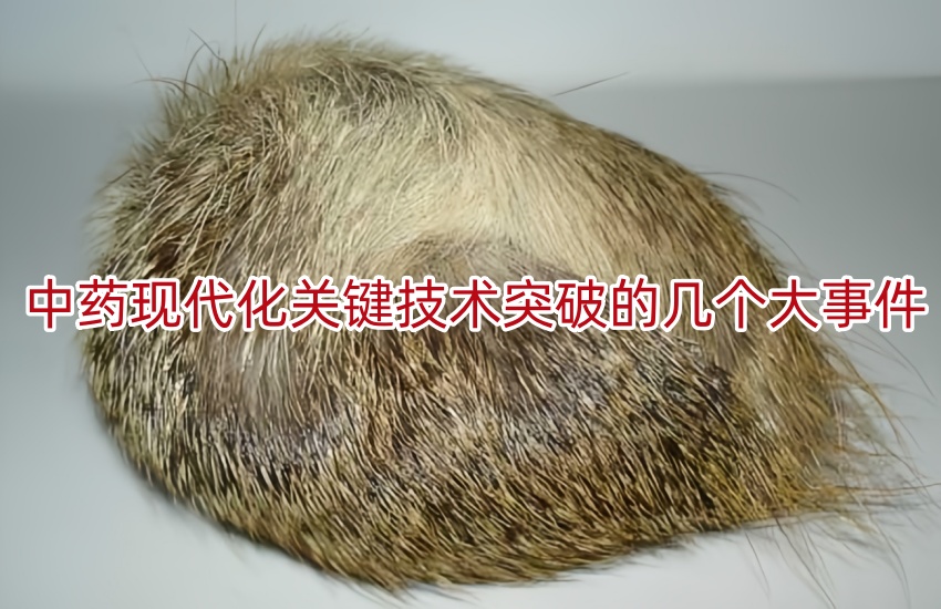 中药现代化关键技术突破的几个大事件