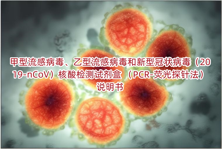 甲型流感病毒、乙型流感病毒和新型冠状病毒(2019-nCoV)核酸检测试剂盒 (PCR-荧光探针法)说明书