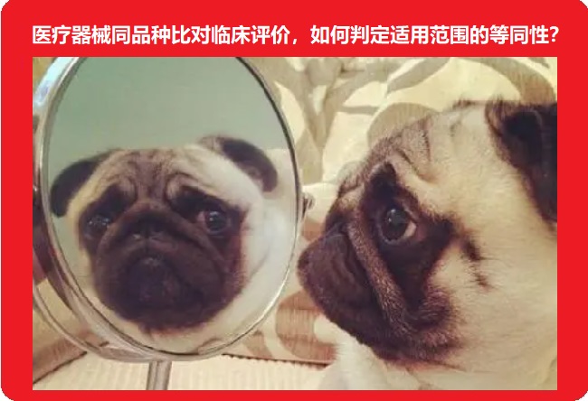 医疗器械同品种比对临床评价.jpg 医疗器械同品种比对临床评价.jpg
