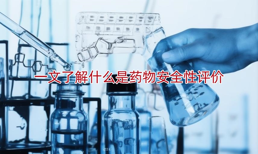 一文了解什么是药物安全性评价