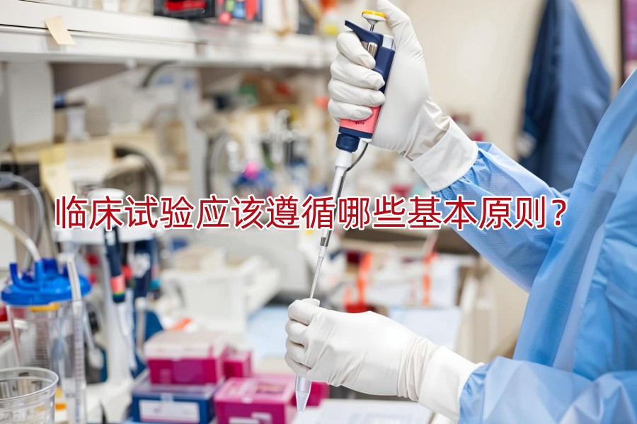 临床试验应该遵循哪些基本原则?