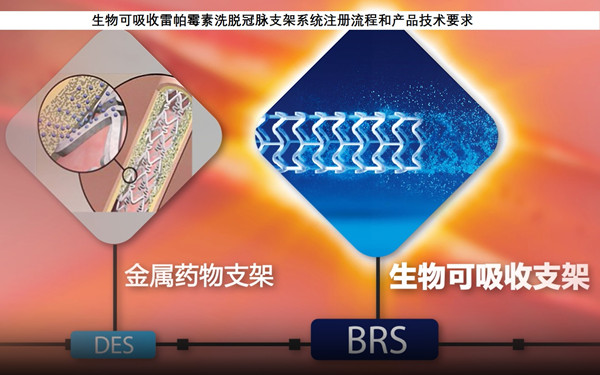 生物可吸收雷帕霉素洗脱冠脉支架系统.jpg 生物可吸收雷帕霉素洗脱冠脉支架系统.jpg