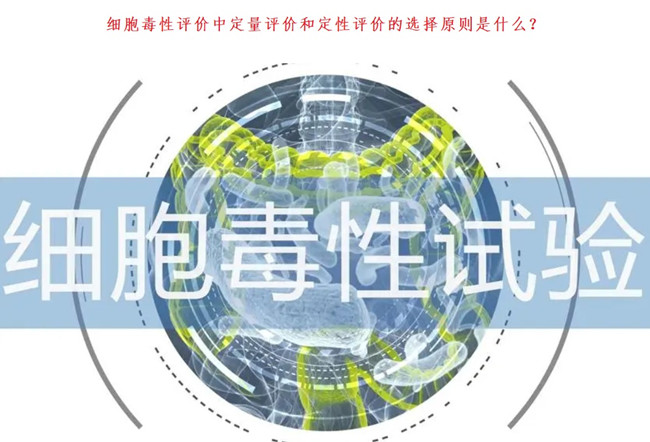 细胞毒性评价中定量评价和定性评价.jpg 细胞毒性评价中定量评价和定性评价.jpg