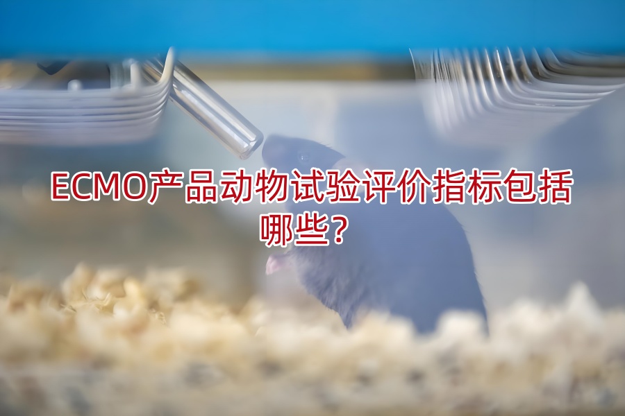 ECMO产品动物试验评价指标包括哪些?
