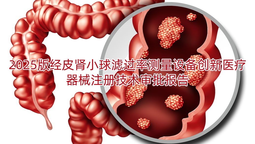 2025版经皮肾小球滤过率测量设备创新<a href=/medical/ target=_blank class=infotextkey>医疗器械注册</a>技术审批报告