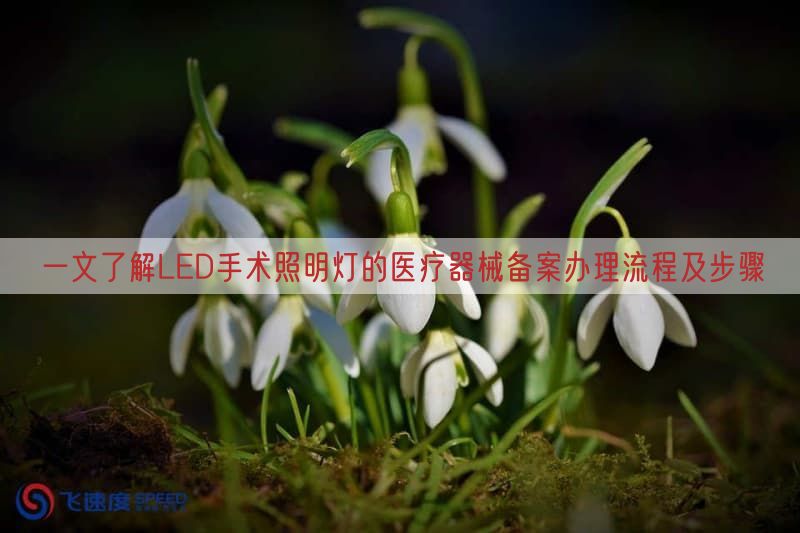 一文了解LED手术照明灯的医疗器械备案办理流程及步骤(图1)