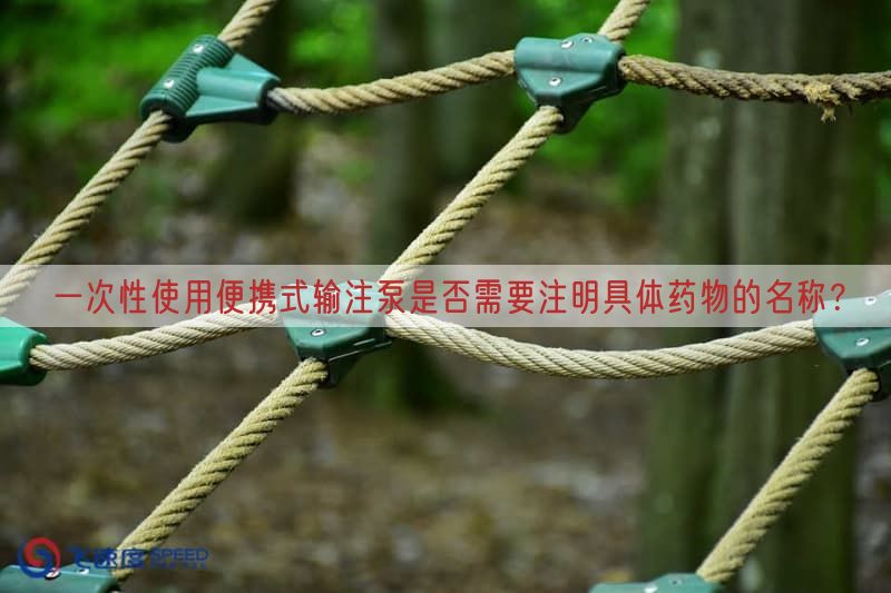 一次性使用便携式输注泵是否需要注明具体药物的名称?(图1)