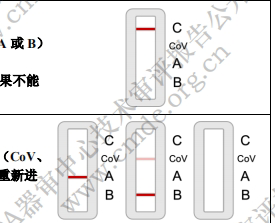 2025版新冠/甲流/乙流三合一抗原检测试剂盒注册技术审批全解析(图3)