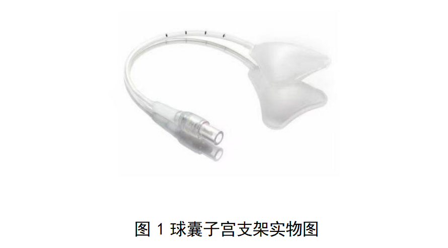 一次性使用球囊子宫支架审评要点(征求意见稿)(图2)