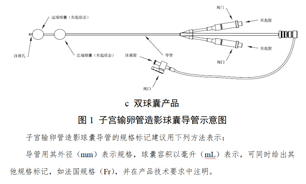 子宫输卵管造影球囊导管注册审查指导原则（2025年修订版）(图2)