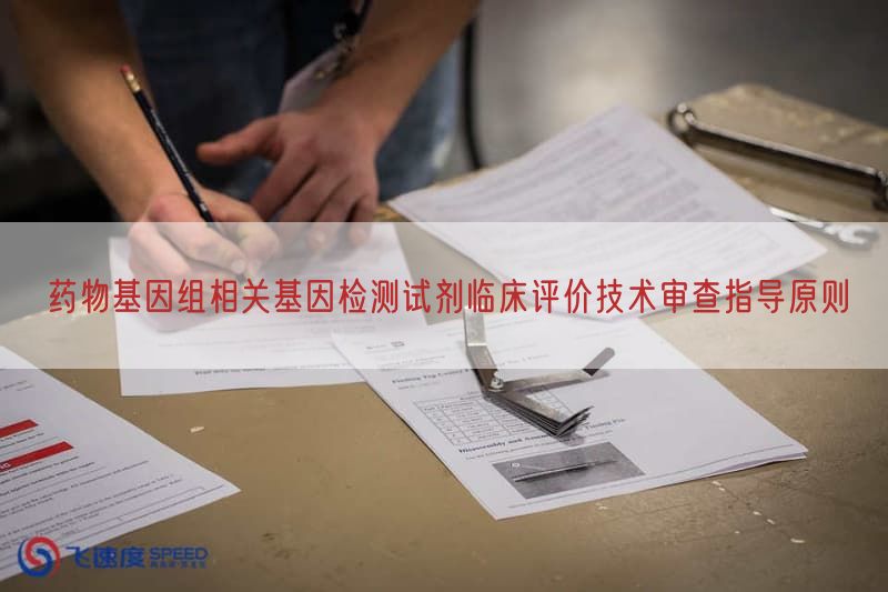 药物基因组相关基因检测试剂临床评价技术审查指导原则(图1)