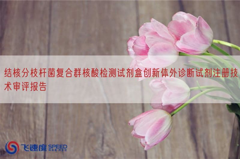 结核分枝杆菌复合群核酸检测试剂盒创新体外诊断试剂注册技术审评报告(图1)