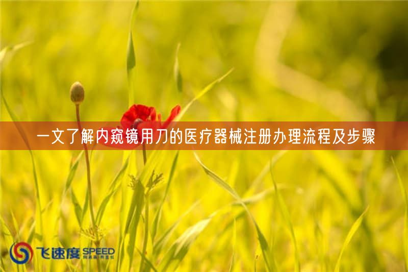 一文了解内窥镜用刀的<a href=/medical/ target=_blank class=infotextkey>医疗器械注册</a>办理流程及步骤(图1)