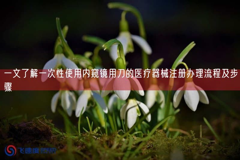 一文了解一次性使用内窥镜用刀的<a href=/medical/ target=_blank class=infotextkey>医疗器械注册</a>办理流程及步骤(图1)