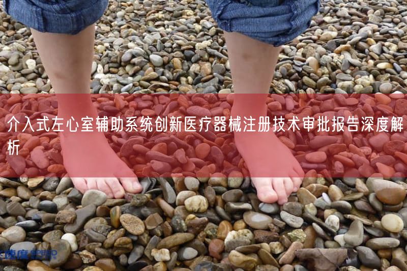 介入式左心室辅助系统创新医疗器械注册技术审批报告深度解析(图1)