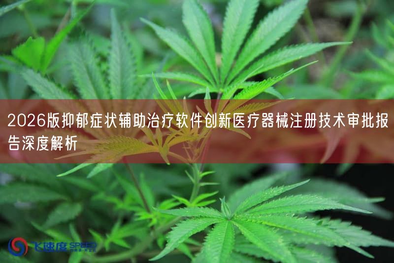 2026版抑郁症状辅助治疗软件创新医疗器械注册技术审批报告深度解析