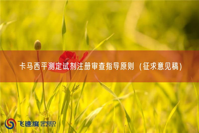 卡马西平测定试剂注册审查指导原则（征求意见稿）(图1)