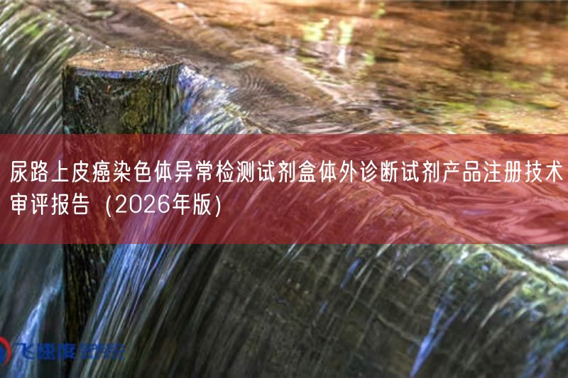 尿路上皮癌染色体异常检测试剂盒体外诊断试剂产品注册技术审评报告（2026年版）