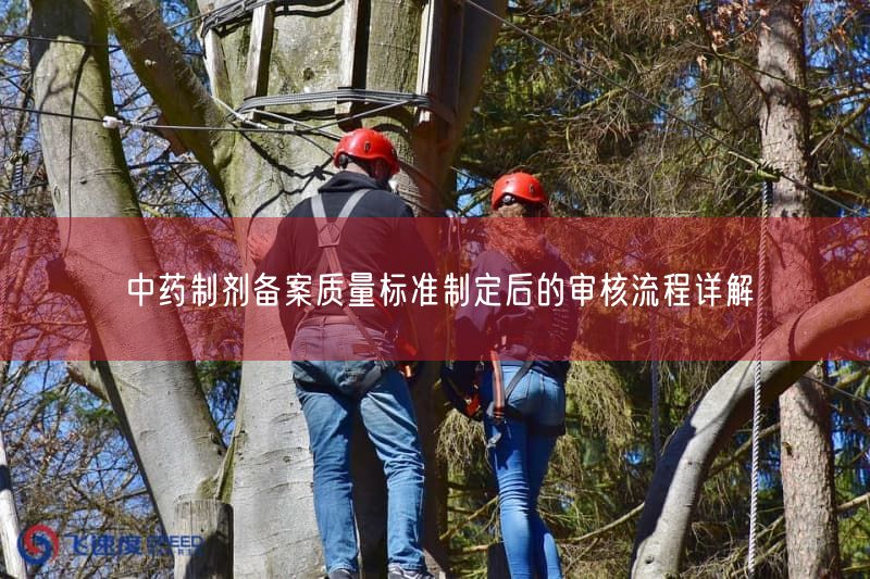 中药制剂备案质量标准制定后的审核流程详解