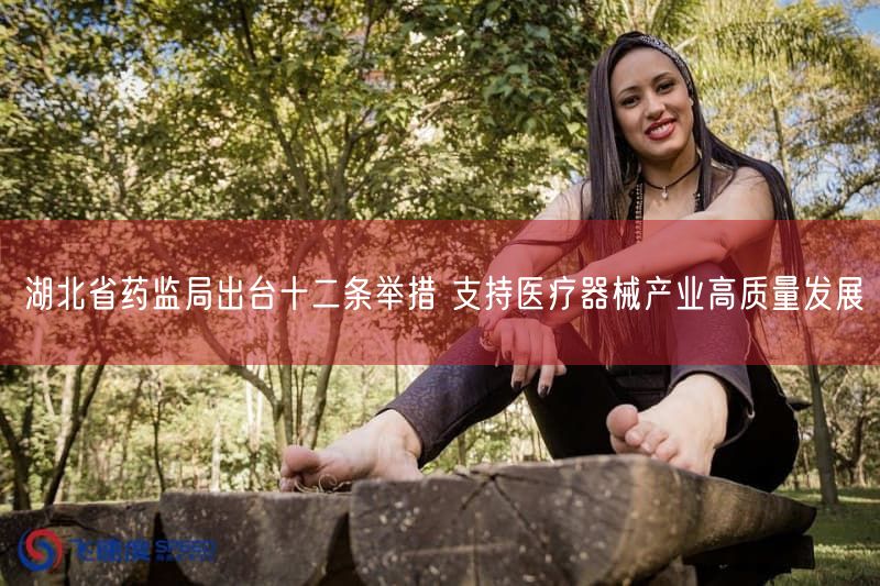 湖北省药监局出台十二条举措 支持医疗器械产业高质量发展