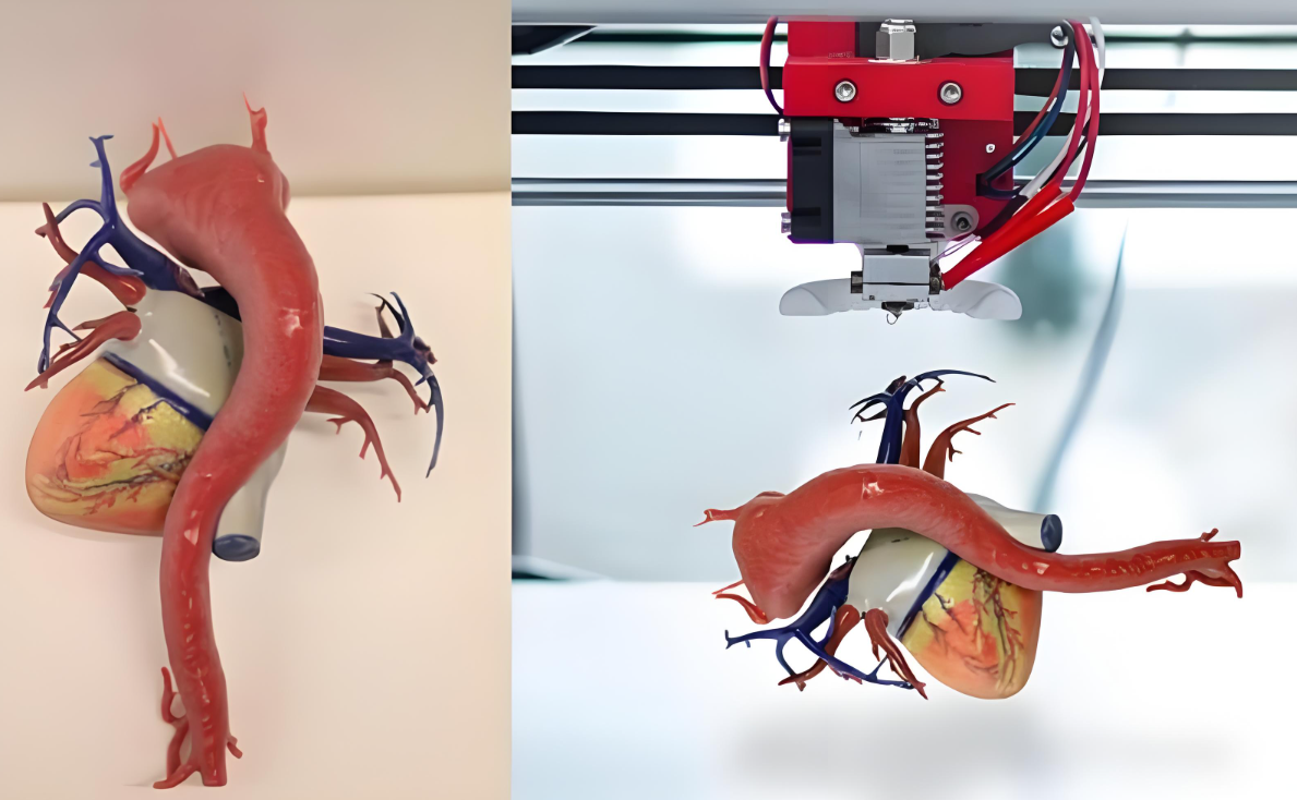 生物3D打印价格立项!组织器官可以