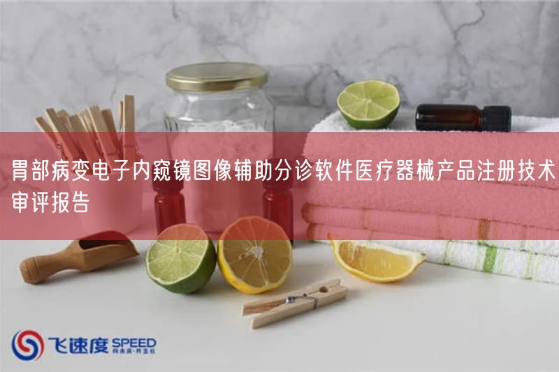 胃部病变电子内窥镜图像辅助分诊软件医疗器械产品注册技术审评报告(图1)