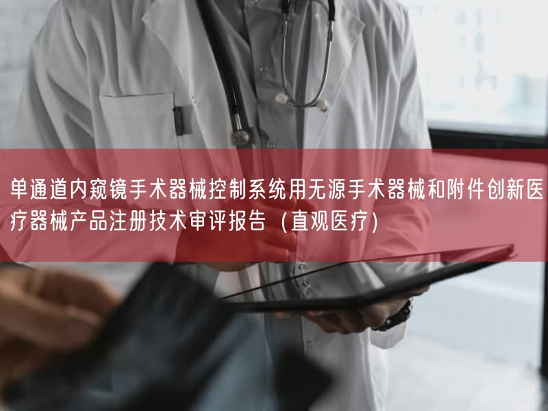 单通道内窥镜手术器械控制系统用无源手术器械和附件创新医疗器械产品注册技术审评报告（直观医疗）(图1)